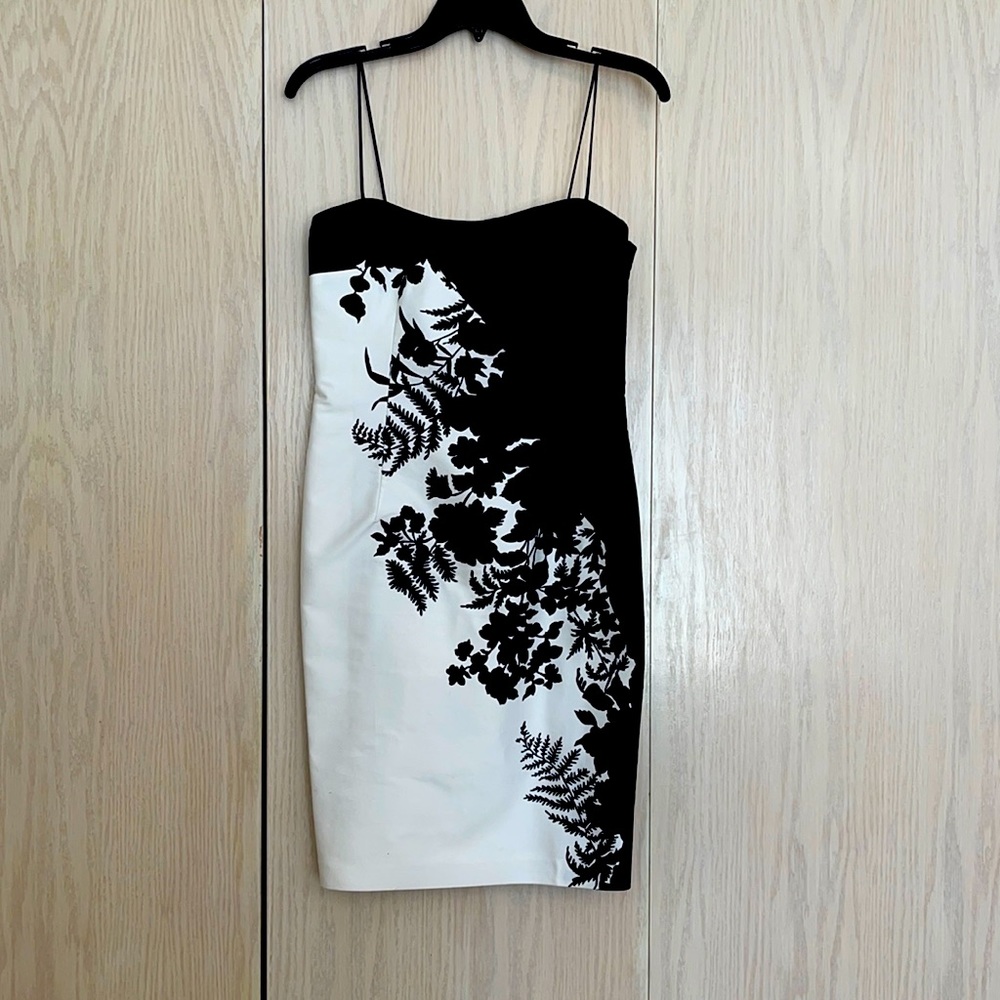 Graphic Black and White David Meister Dress